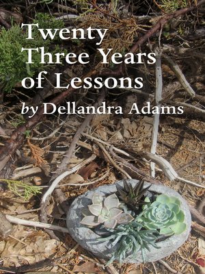 cover image of Twenty Three Years of Lessons